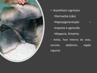 • Acanthosis nigricans
•Dermatite (cão)
•Hiperpigmentação –
resposta à agressão
•Alopecia, Simetria
- Axilas, face interna da coxa,
escroto, abdômen, região
inguinal
 