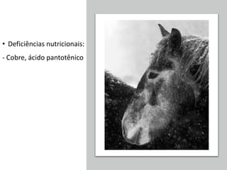 • Deficiências nutricionais:
- Cobre, ácido pantotênico
 