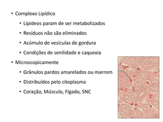 • Complexo Lipídico
• Lipideos param de ser metabolizados
• Resíduos não são eliminados
• Acúmulo de vesículas de gordura
• Condições de senilidade e caquexia
• Microscopicamente
• Grânulos pardos amarelados ou marrom
• Distribuídos pelo citoplasma
• Coração, Músculo, Fígado, SNC
 