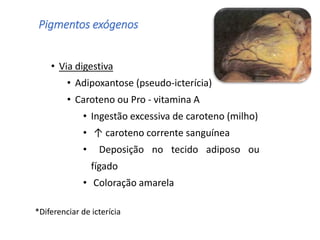 Pigmentos exógenos
• Via digestiva
• Adipoxantose (pseudo-icterícia)
• Caroteno ou Pro - vitamina A
• Ingestão excessiva de caroteno (milho)
• ↑ caroteno corrente sanguínea
• Deposição no tecido adiposo ou
fígado
• Coloração amarela
*Diferenciar de icterícia
 