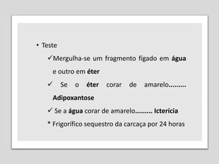 • Teste
Mergulha-se um fragmento fígado em água
e outro em éter
 Se o éter corar de amarelo.........
Adipoxantose
 Se a água corar de amarelo......... Icterícia
* Frigorífico sequestro da carcaça por 24 horas
 