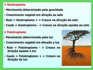  Geotropismo
- Movimento determinado pela gravidade
- Crescimento vegetal em direção ao solo
- Raiz = Geotropismo + = Cresce na direção do solo
- Caule = Geotropismo - = Cresce na direção oposta ao solo
 Fototropismo
- Movimento determinado pela luz
- Crescimento vegetal em direção a luz
- Raiz = Fototropismo - = Cresce na
direção oposta a luz
- Caule = Fototropismo + = Cresce na
direção da luz
 