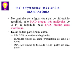 BALANÇO GERAL DA CADEIA
           RESPIRATÓRIA

• No caminho até a água, cada par de hidrogênio
  recolhido pelo NAD produz três moléculas de
  ATP; se recolhido pelo FAD, produz duas
  moléculas.
• Dessa cadeia participam, então:
  – 2NAD.2H provenientes da glicólise
  – 2FAD.2H vindos da etapa preparatória do ciclo de
    Krebs
  – 8NAD.2H vindos do Ciclo de Krebs (quatro em cada
    ciclo).
 