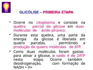 GLICÓLISE – PRIMEIRA ETAPA
• Ocorre no citoplasma e consiste na
quebra parcial da glicose em duas
moléculas de ácido pirúvico.
• Durante esta quebra, uma parte da
energia da glicose é liberada em
quatro parcelas, permitindo a
produção de quatro moléculas de ATP.
• Como duas moléculas foram gastas
para ativar a glicose, o saldo é de 2ATP
nesta etapa. Ocorre também
desidrogenação, com formação de
NADH + H+
 