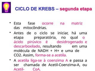 CICLO DE KREBS – segunda etapa
• Esta fase ocorre na matriz
das mitocôndrias.
• Antes de o ciclo se iniciar, há uma
etapa preparatória, no qual o
ácido pirúvico é desidrogenado e
descarboxilado, resultando em uma
molécula de NADH + H+ e uma de
CO2. Assim, forma-se a acetila.
• A acetila liga-se à coenzima A e passa a
ser chamada de Acetil-Coenzima-A, ou
Acetil- CoA.
 
