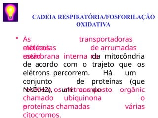 • As
moléculas
elétrons
estão
transportadoras
de arrumadas
na
membrana interna da mitocôndria
de acordo com o trajeto que os
elétrons percorrem. Há um
conjunto de proteínas (que
recebem os elétrons do
NAD.H2), um composto
chamado ubiquinona
e
orgânic
o
várias
proteínas chamadas
citocromos.
CADEIA RESPIRATÓRIA/FOSFORILAÇÃO
OXIDATIVA
 