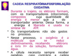 CADEIA RESPIRATÓRIA/FOSFORILAÇÃO
OXIDATIVA
• Durante o trajeto, os elétrons formam,
com os transportadores (citocromos),
compostos cuja quantidade de
energia é menor que a do
transportador anterior. Dessa forma, a
energia é liberada e usada na
síntese de ATP.
• Os transportadores não são gastos
no processo.
• Nesse processo, o oxigênio é a
molécula que se reduz
definitivamente, recebendo elétrons
e íons H+ da solução, formando
água.
• A célula necessita sempre receber
 