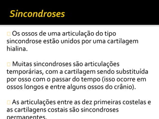 Os ossos de uma articulação do tipo 
sincondrose estão unidos por uma cartilagem 
hialina. 
Muitas sincondroses são articulações 
temporárias, com a cartilagem sendo substituída 
por osso com o passar do tempo (isso ocorre em 
ossos longos e entre alguns ossos do crânio). 
As articulações entre as dez primeiras costelas e 
as cartilagens costais são sincondroses 
permanentes. 
 