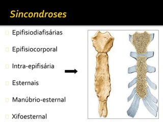 Epifisiodiafisárias 
Epifisiocorporal 
Intra-epifisária 
Esternais 
Manúbrio-esternal 
Xifoesternal 
 