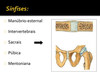 Manúbrio-esternal 
Intervertebrais 
Sacrais 
Púbica 
Mentoniana 
 
