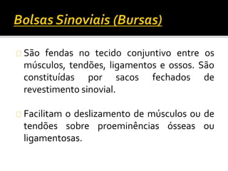 São fendas no tecido conjuntivo entre os 
músculos, tendões, ligamentos e ossos. São 
constituídas por sacos fechados de 
revestimento sinovial. 
Facilitam o deslizamento de músculos ou de 
tendões sobre proeminências ósseas ou 
ligamentosas. 
 