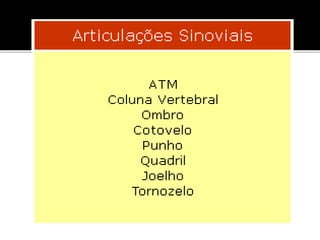 Aula 7   sist. articular estagio