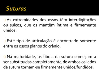 As extremidades dos ossos têm interdigitações 
ou sulcos, que os mantêm íntima e firmemente 
unidos. 
Este tipo de articulação é encontrado somente 
entre os ossos planos do crânio. 
Na maturidade, as fibras da sutura começam a 
ser substituídas completamente,de ambos os lados 
da sutura tornam-se firmemente unidos/fundidos. 
 