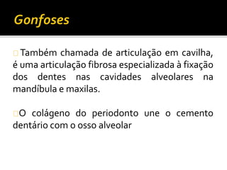 Também chamada de articulação em cavilha, 
é uma articulação fibrosa especializada à fixação 
dos dentes nas cavidades alveolares na 
mandíbula e maxilas. 
O colágeno do periodonto une o cemento 
dentário com o osso alveolar 
 