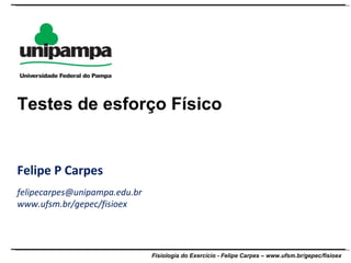 Felipe P Carpes [email_address] www.ufsm.br/gepec/fisioex Testes de esforço Físico 
