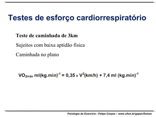 Testes de esforço cardiorrespiratório Teste de caminhada de 3km Sujeitos com baixa aptidão física Caminhada no plano 