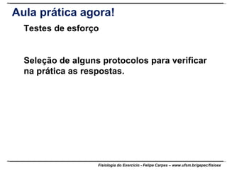 Testes de esforço Seleção de alguns protocolos para verificar na prática as respostas. Aula prática agora! 