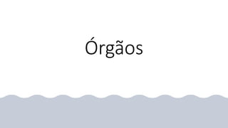 Órgãos
 