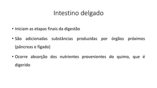 Intestino delgado
• Iniciam as etapas finais da digestão
• São adicionadas substâncias produzidas por órgãos próximos
(pâncreas e fígado)
• Ocorre absorção dos nutrientes provenientes do quimo, que é
digerido
 
