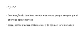 Jejuno
• Continuação do duodeno, recebe este nome porque sempre que é
aberto se apresenta vazio
• Largo, parede espessa, mais vascular e de cor mais forte que o íleo
 