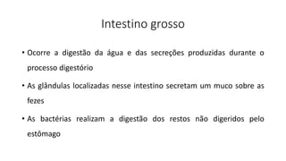 Intestino grosso
• Ocorre a digestão da água e das secreções produzidas durante o
processo digestório
• As glândulas localizadas nesse intestino secretam um muco sobre as
fezes
• As bactérias realizam a digestão dos restos não digeridos pelo
estômago
 