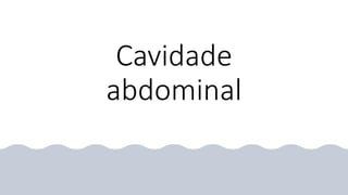 Cavidade
abdominal
 