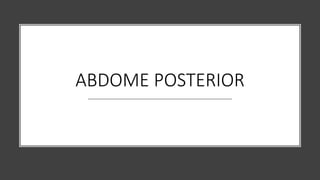 ABDOME POSTERIOR
 