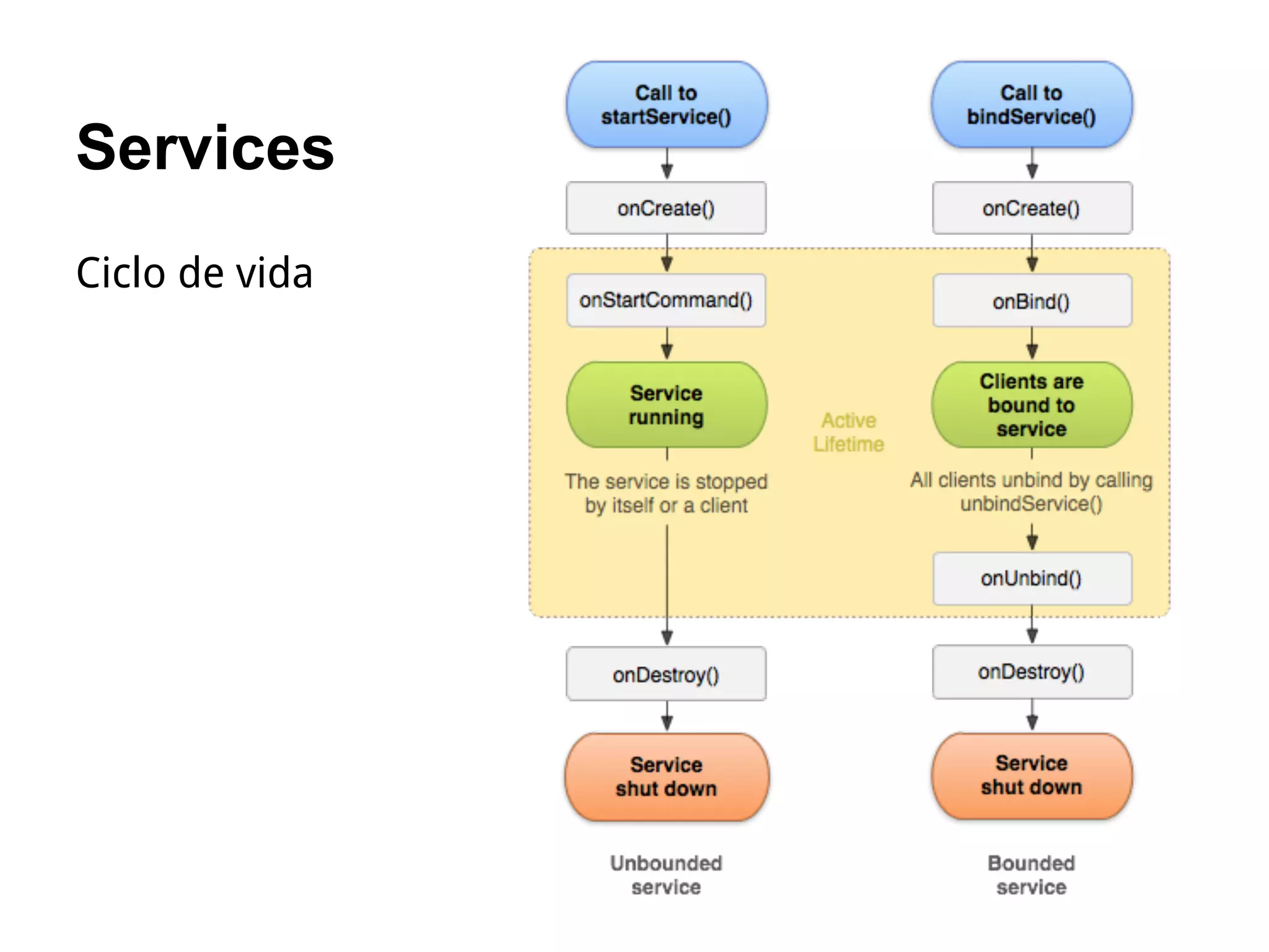 Services
Ciclo de vida
 