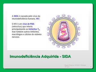 Magda Charrua  2010/2011 Biologia 12º ano  Imunodeficiência Adquirida - SIDA 