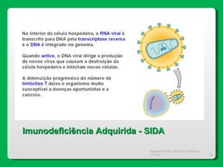 Magda Charrua  2010/2011 Biologia 12º ano  Imunodeficiência Adquirida - SIDA 