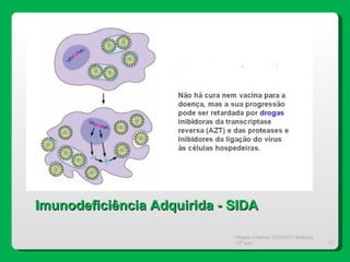 Magda Charrua  2010/2011 Biologia 12º ano  Imunodeficiência Adquirida - SIDA 