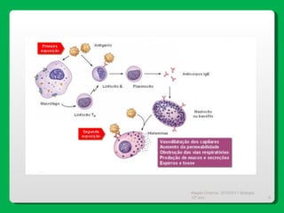 Magda Charrua  2010/2011 Biologia 12º ano  