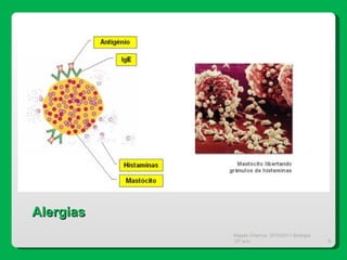 Magda Charrua  2010/2011 Biologia 12º ano  Alergias 