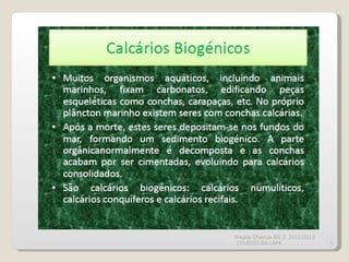 Magda Charrua BG II 2011/2012
COLÉGIO DA LAPA                 3
 