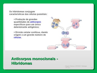 Magda Charrua  2010/2011 Biologia 12º ano  Anticorpos monoclonais - Hibridomas 