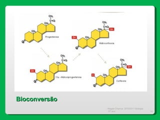 Magda Charrua  2010/2011 Biologia 12º ano  Bioconversão 