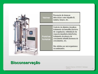 Magda Charrua  2010/2011 Biologia 12º ano  Bioconservação 