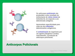 Magda Charrua  2010/2011 Biologia 12º ano  Anticorpos Policlonais 