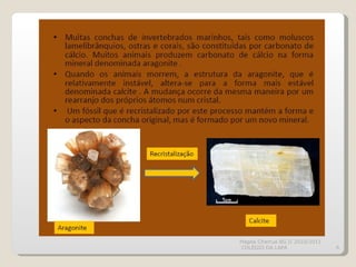 Magda Charrua BG II 2010/2011 COLÉGIO DA LAPA