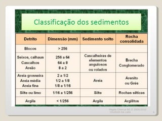 Magda Charrua BG II 2009/2010  COLÉGIO DA LAPA 