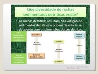 Magda Charrua BG II 2009/2010 COLÉGIO DA LAPA