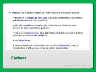 Magda Charrua  2010/2011 Biologia 12º ano  Enzimas 