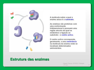 Magda Charrua  2010/2011 Biologia 12º ano  Estrutura das enzimas 