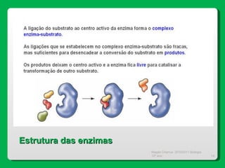 Magda Charrua  2010/2011 Biologia 12º ano  Estrutura das enzimas 