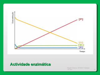 Magda Charrua  2010/2011 Biologia 12º ano  Actividade enzimática 