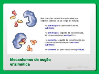 Magda Charrua  2010/2011 Biologia 12º ano  Mecanismos de acção enzimática 