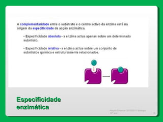 Magda Charrua  2010/2011 Biologia 12º ano  Especificidade enzimática 
