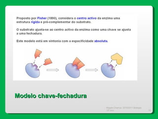 Magda Charrua  2010/2011 Biologia 12º ano  Modelo chave-fechadura 