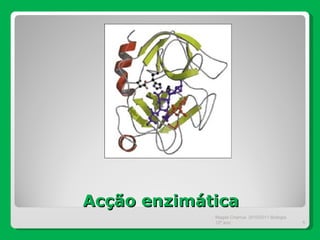Acção enzimática Magda Charrua  2010/2011 Biologia 12º ano  
