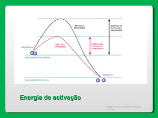 Magda Charrua  2010/2011 Biologia 12º ano  Energia de activação 